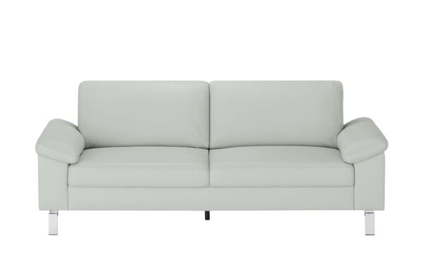 Max Schelling Ledersofa  Maximum ¦ grau ¦ Maße (cm): B: 204 H: 86 T: 97 Polstermöbel > Sofas > 2-Sitzer - Höffner